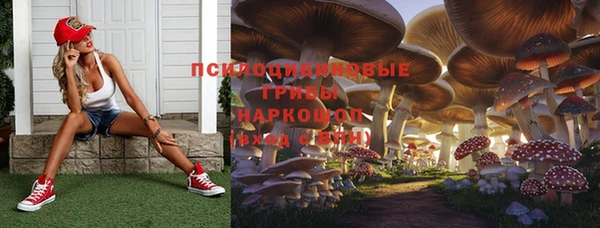 дурь Аркадак