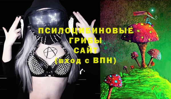 трава Армянск