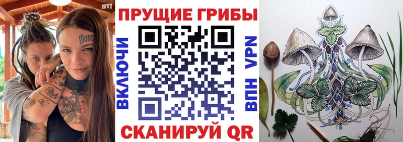 мориарти состав omg ТОР Окуловка Псилоцибиновые грибы мухоморы